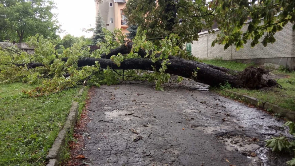 негода_ Золочів