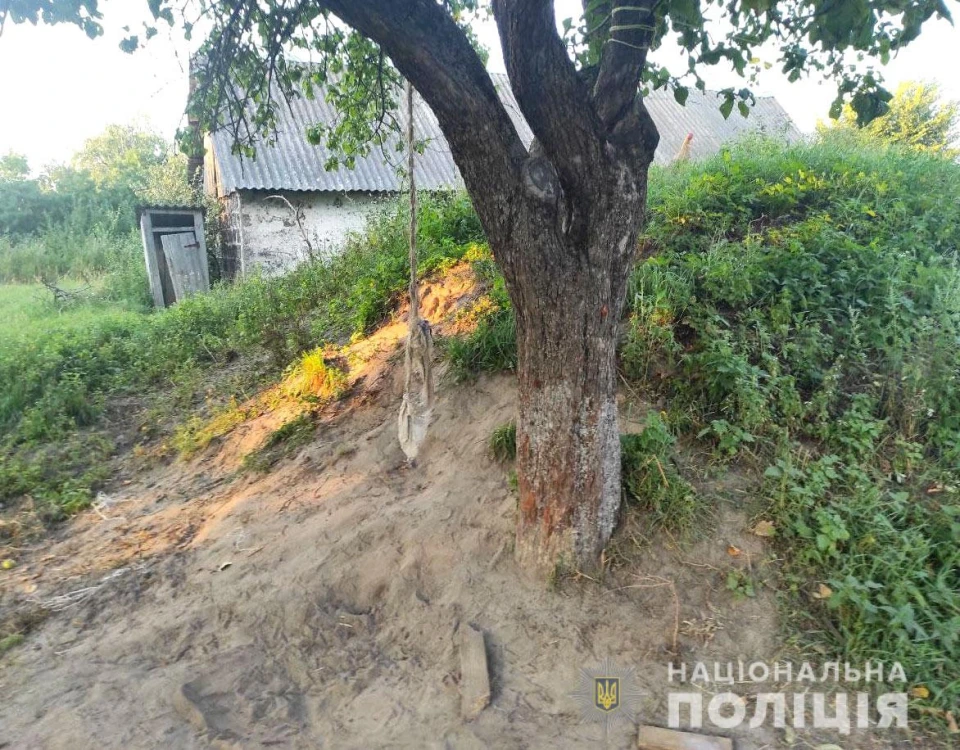 мотузка на дереві