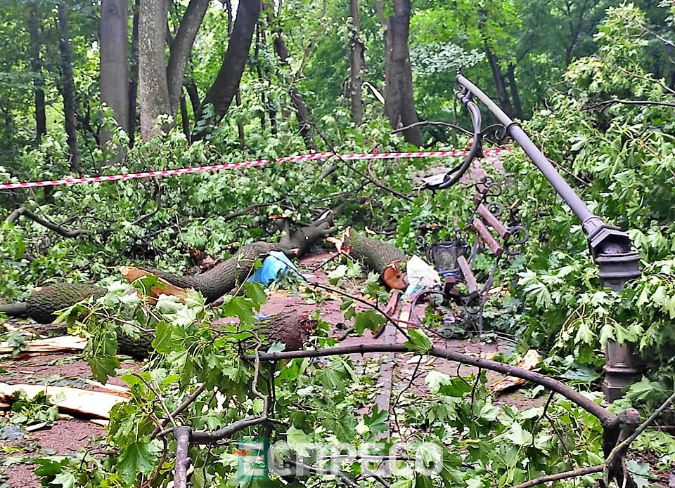 буревій у Стрийському парку