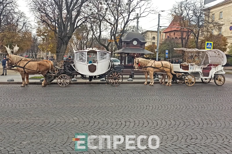 Львів