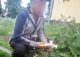 церковний крадій з червонограда