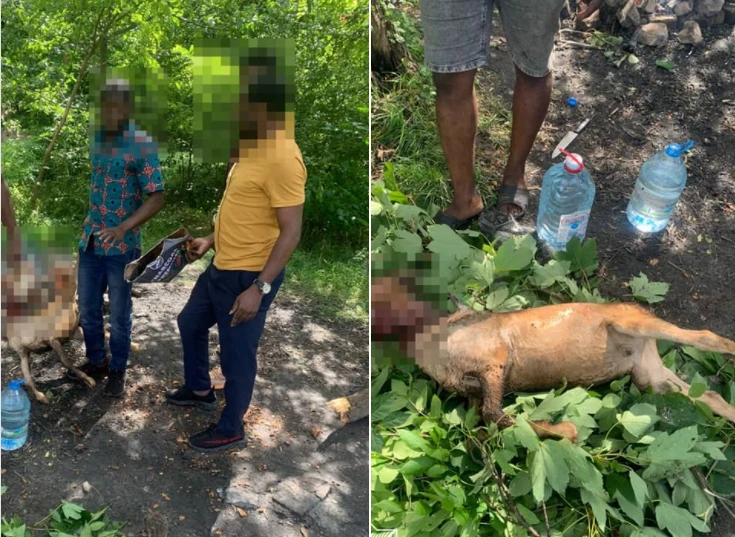 іноземці у Львові