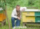 День бджоляра