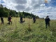 пошук грибника