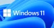 Windows 11