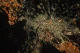 Астронавт NASA сфотографировал ночной Каир из иллюминатора МКС