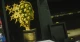 Global Teacher Award