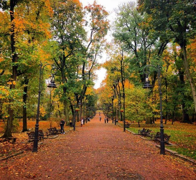 осінь