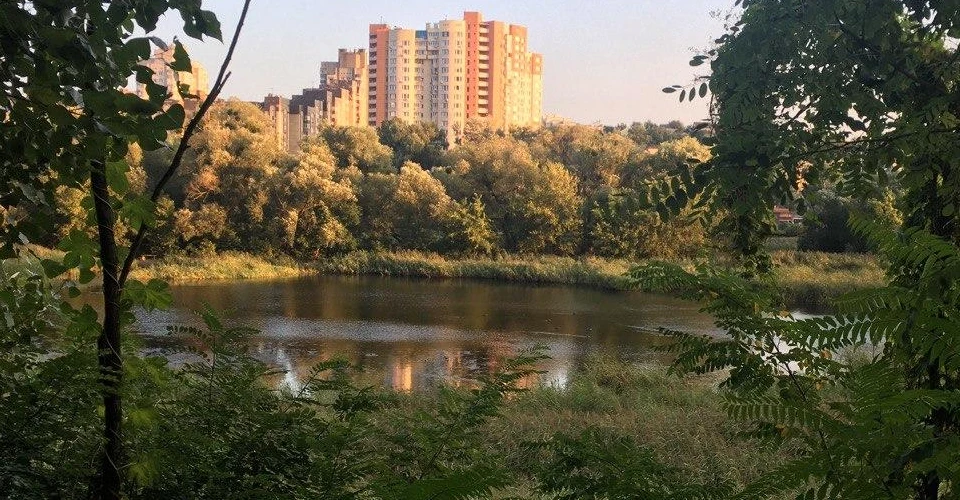 Совські ставки