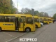 школярики