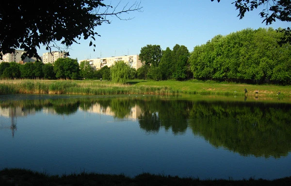Горіховий гай (парк)