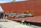 відзначення дня народження Героя Небесної Сотні