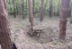 вибух снаряду
