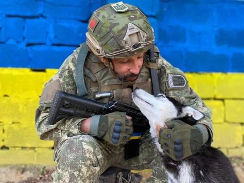 "Вовки Да Вінчі"