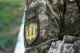 Збройні Сили України