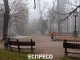 туман у Львові