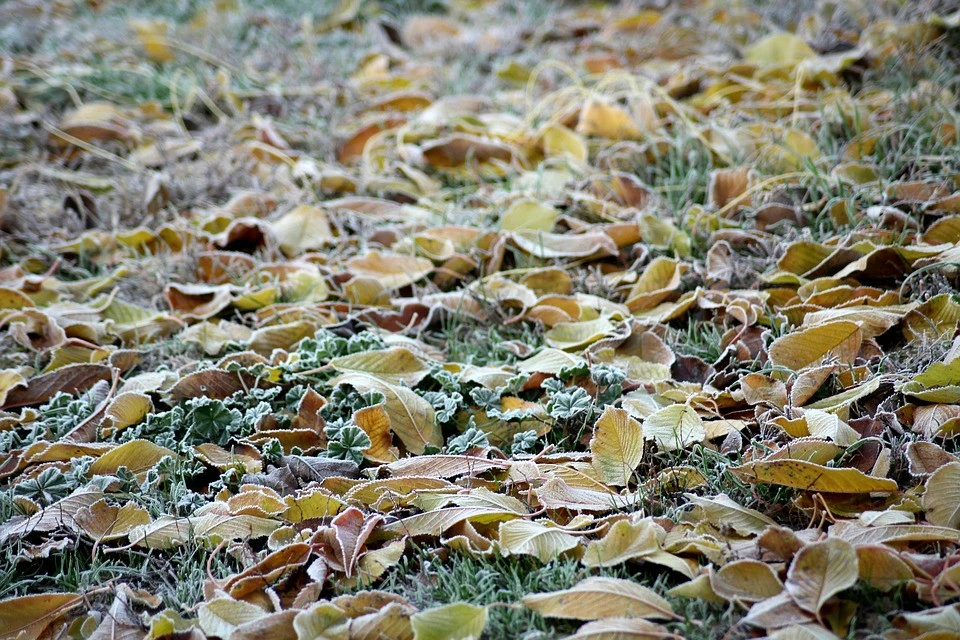 холодна осінь