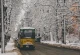 зима у львові зима у львові