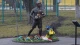 Степан Чубенко