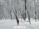 зима у Львові