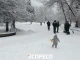 зима у Львові