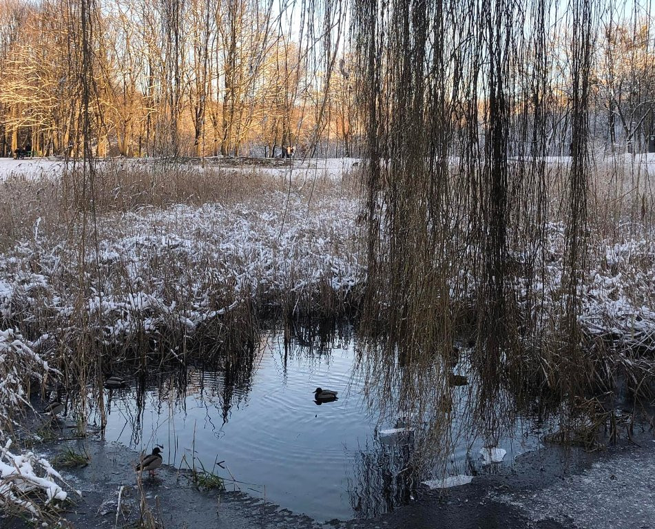 Горіховий Гай