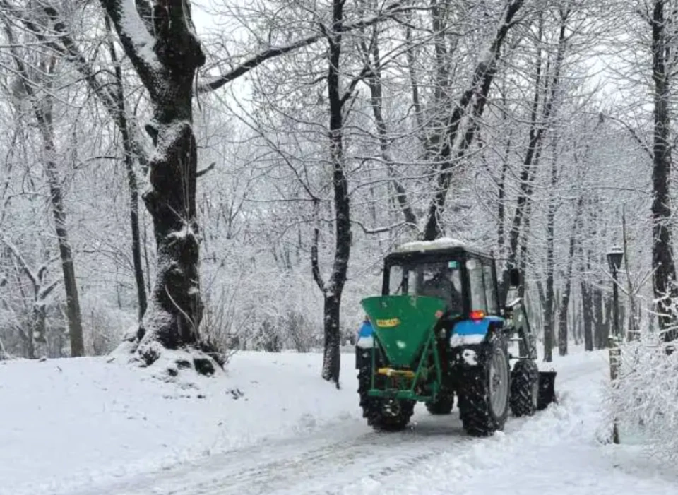 Стрийський парк, зима, сніг