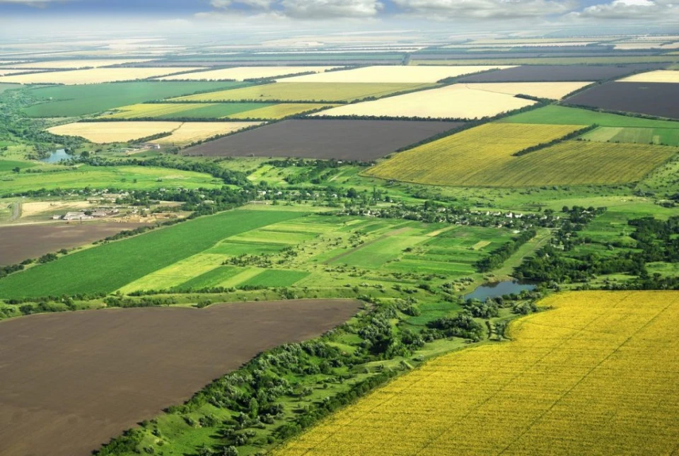 земля, земельні ділянки
