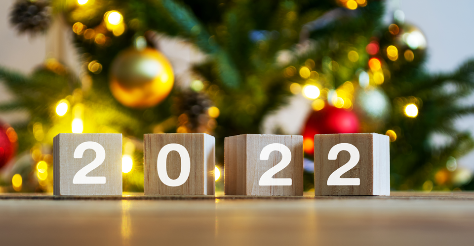 Как и в чем встречать 2022 год год Черного Водяного Тигра