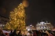 головна ялинка Львова