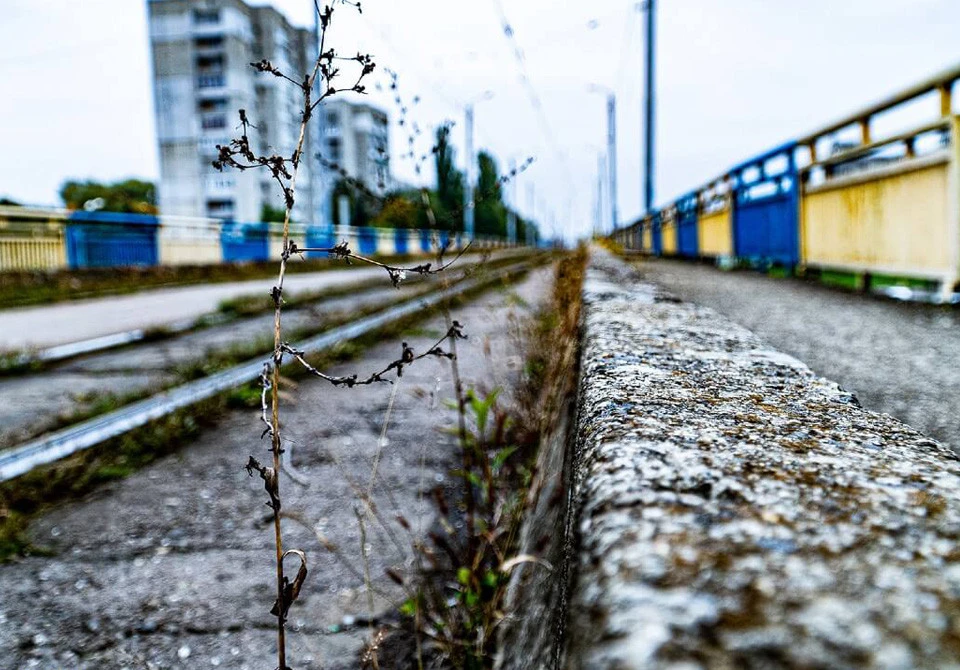 міст через Наукову
