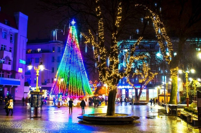 Ялинка Івано-Франківськ