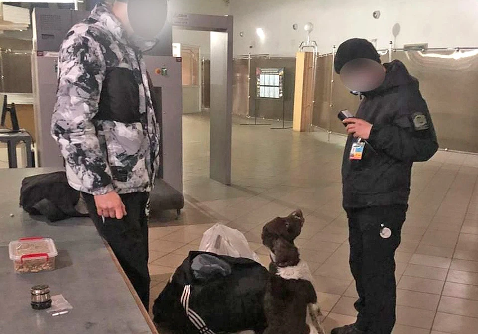митники