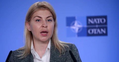 Ольга Стефанішина