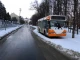 громадський транспорт Чернівців