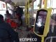 леокарт