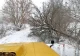 буревій