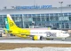 Bees-Boeing 737-800