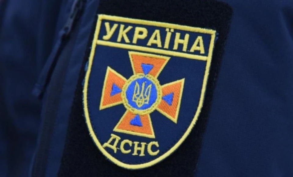 ДСНС