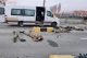 Затримання мародерів у Борисполі