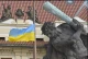 вшанування України у Празі