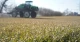 посівна аграрії посівна аграрії