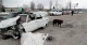 розстріляли автомобіль
