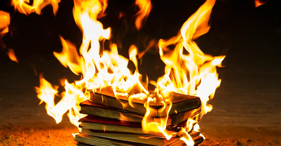 книжка вогонь знищення