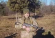 Олександр Новак