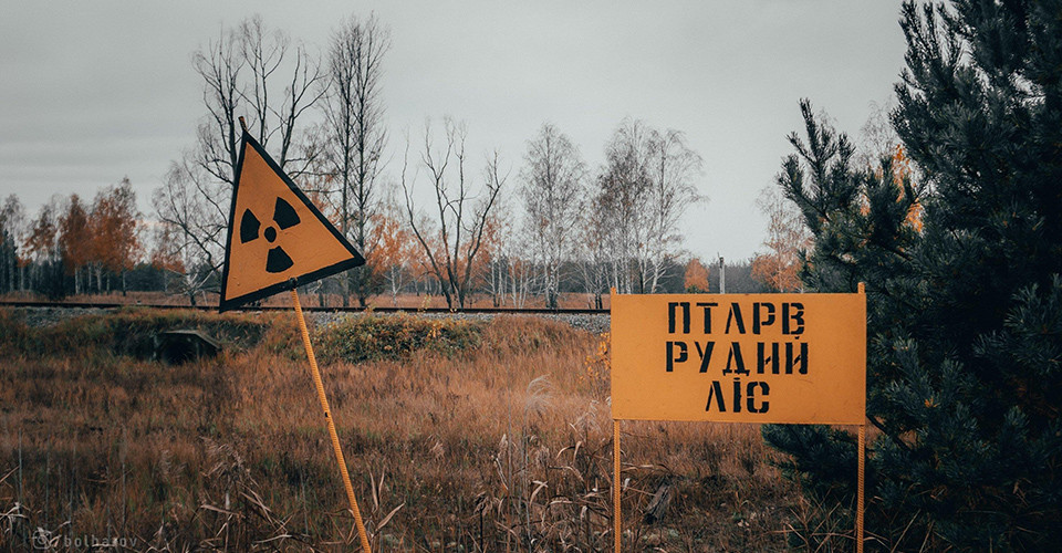 чорнобильський радіоактивний ліс