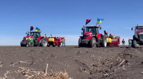 Посівна