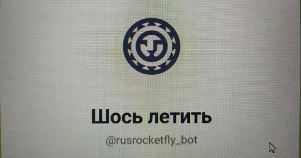 Чат-бот Шось летить