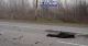 звільнена Київщина