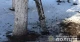 обстріл Харків